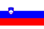 Slovenski